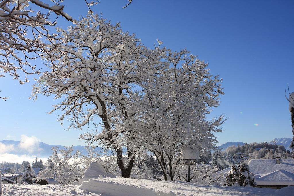 Cortalta Mountain Lodge Fai Della Paganella Esterno foto